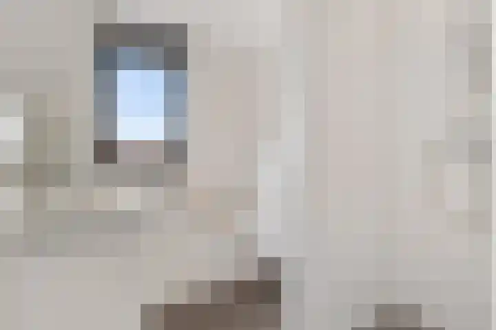 Katoenweversgilde 35 Hasselt thumbnail 22
