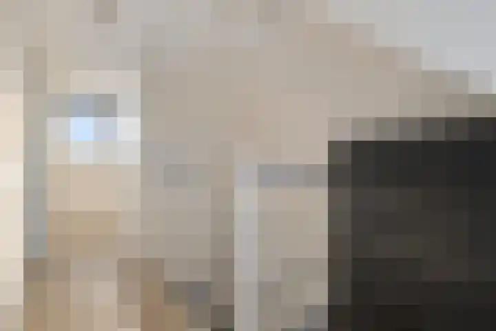 Katoenweversgilde 35 Hasselt thumbnail 25