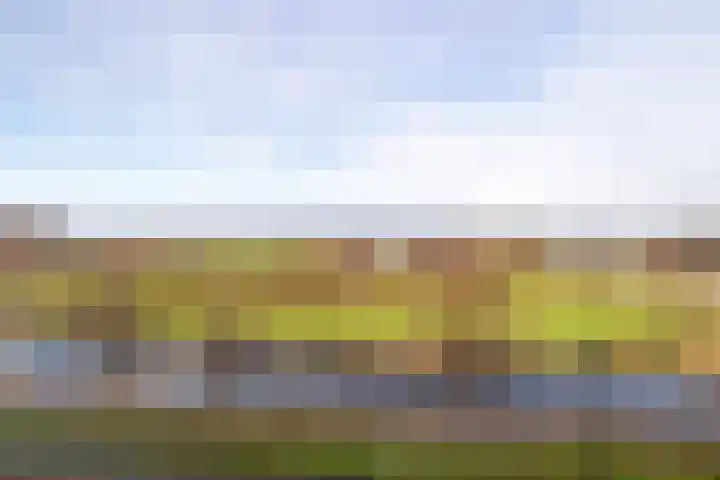 Katoenweversgilde 35 Hasselt thumbnail 33