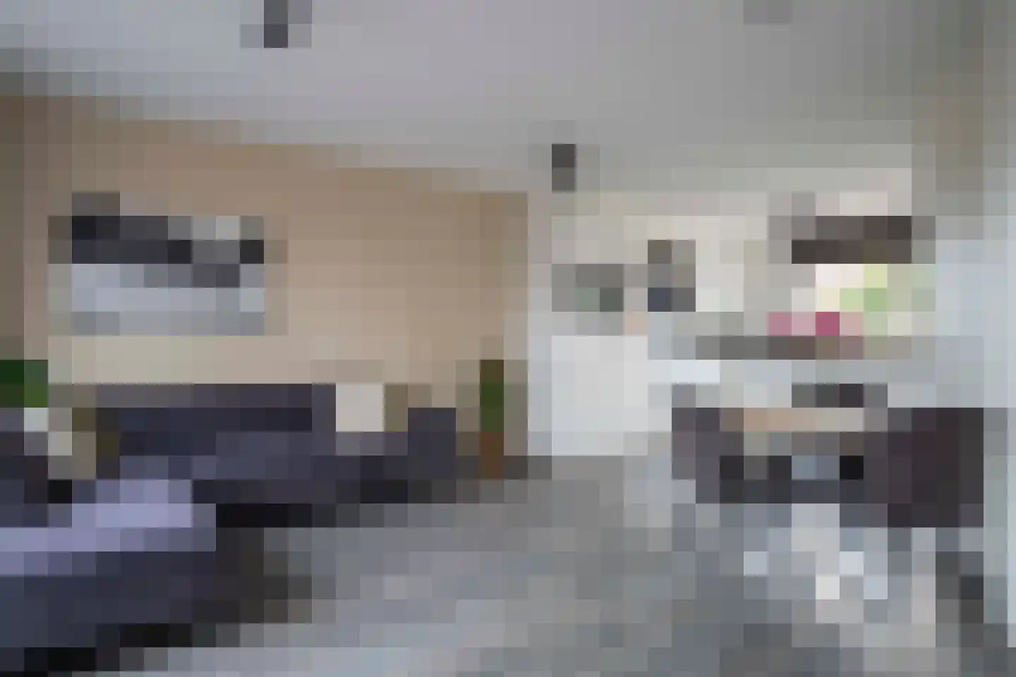 Katoenweversgilde 39 Hasselt thumbnail 22