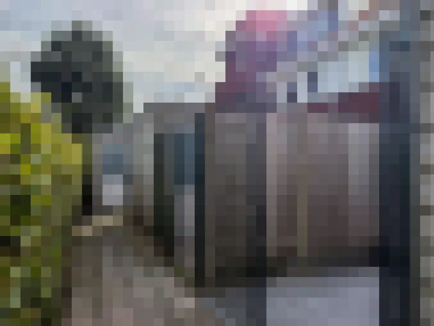 Katoenweversgilde 39 Hasselt thumbnail 28