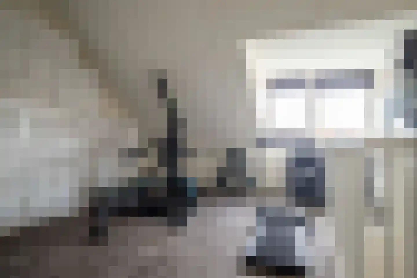 Katoenweversgilde 39 Hasselt thumbnail 41