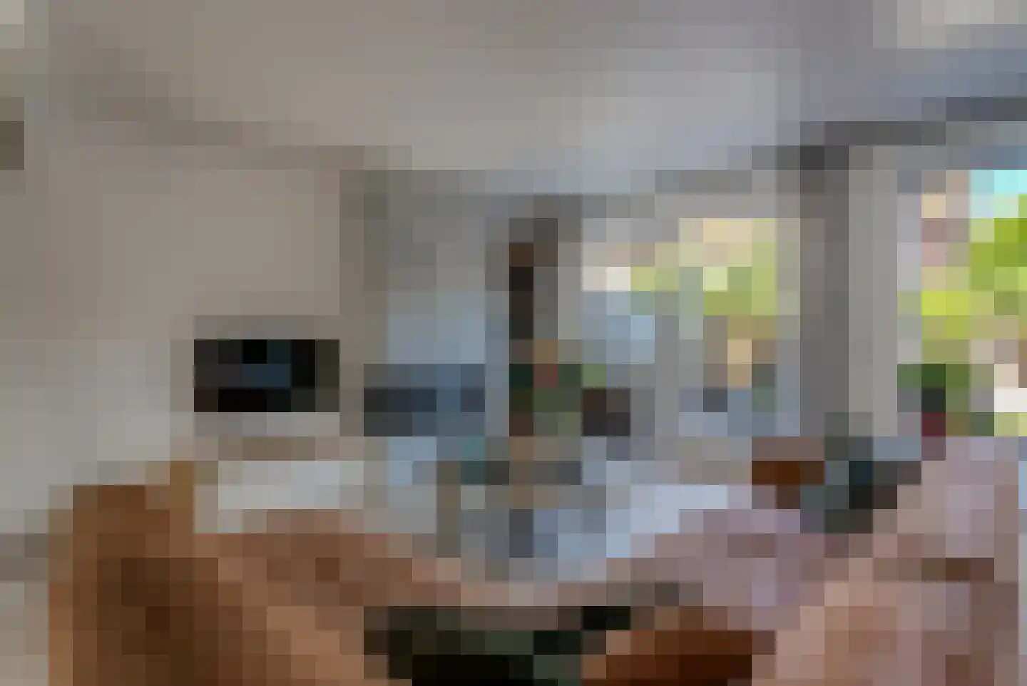 Katoenweversgilde 42 Hasselt thumbnail 13