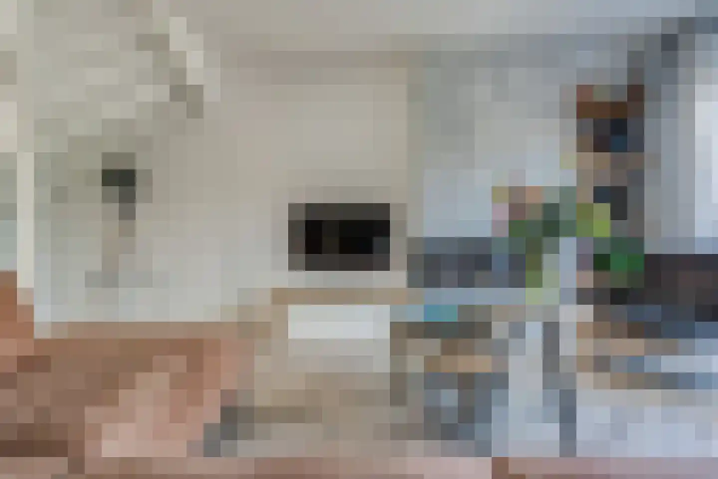 Katoenweversgilde 42 Hasselt thumbnail 16