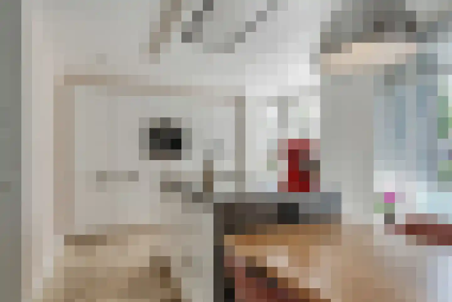 Katoenweversgilde 42 Hasselt thumbnail 20
