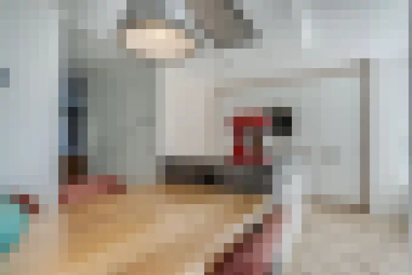 Katoenweversgilde 42 Hasselt thumbnail 23