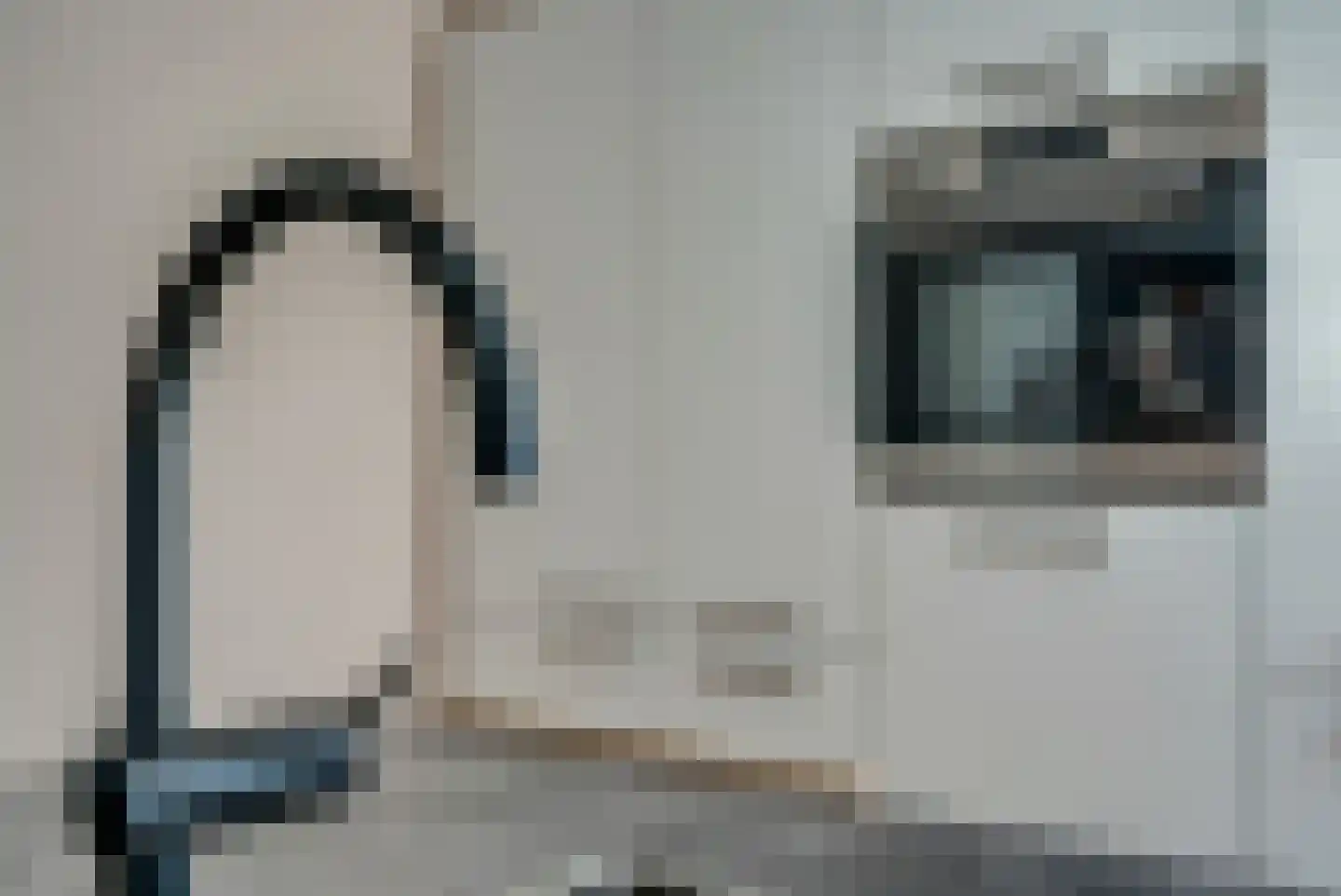 Katoenweversgilde 42 Hasselt thumbnail 24