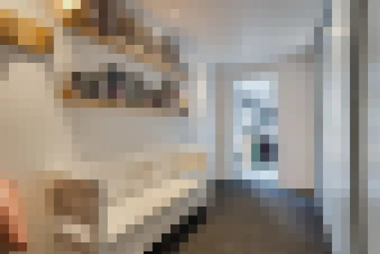 Katoenweversgilde 42 Hasselt thumbnail 26