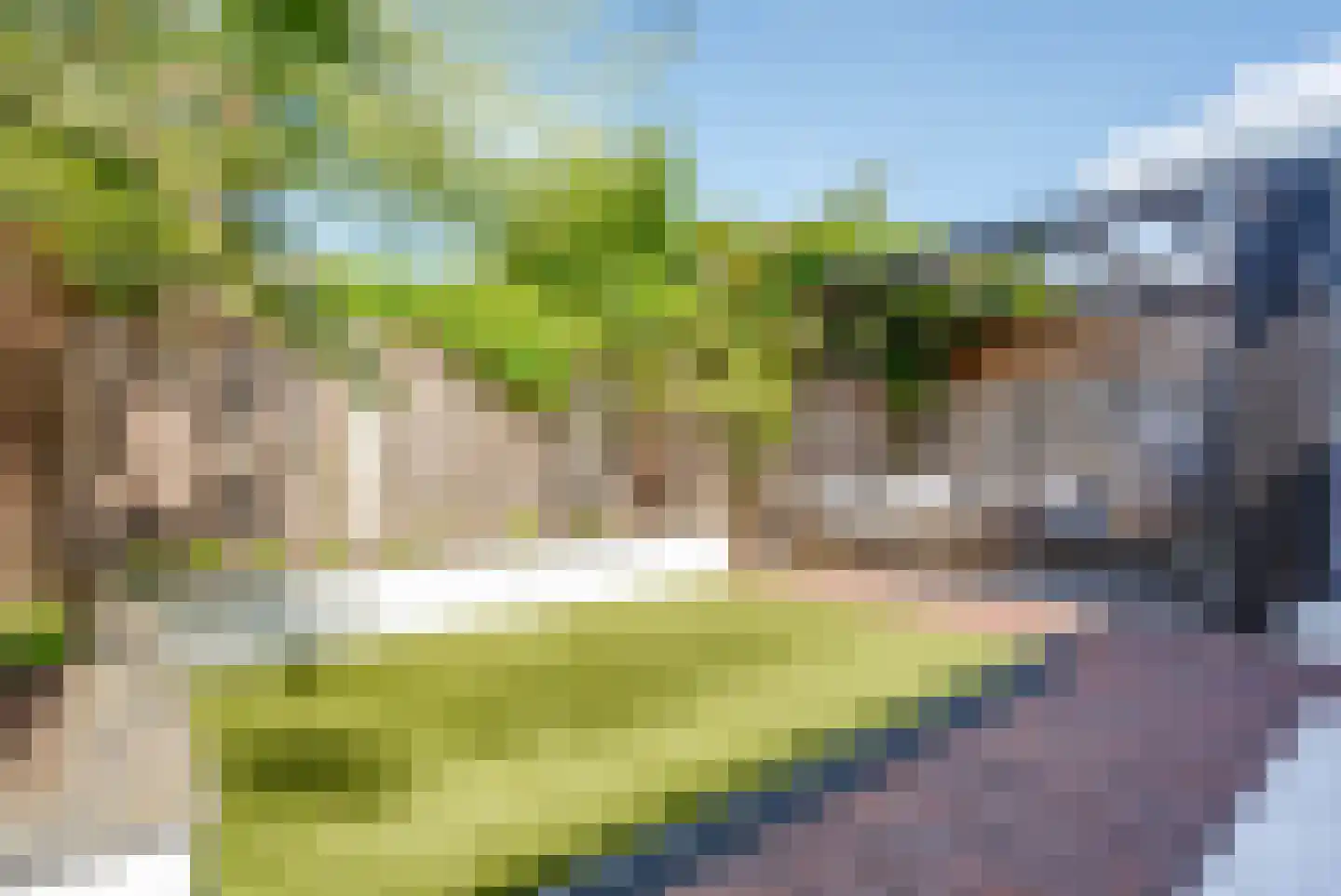 Katoenweversgilde 42 Hasselt thumbnail 30