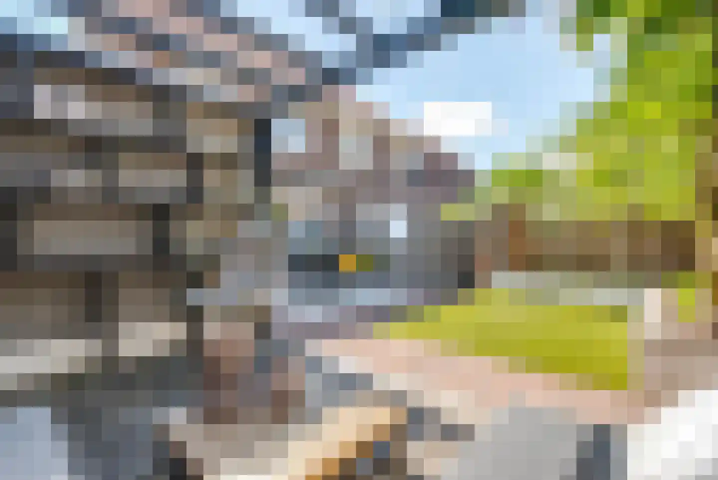 Katoenweversgilde 42 Hasselt thumbnail 35