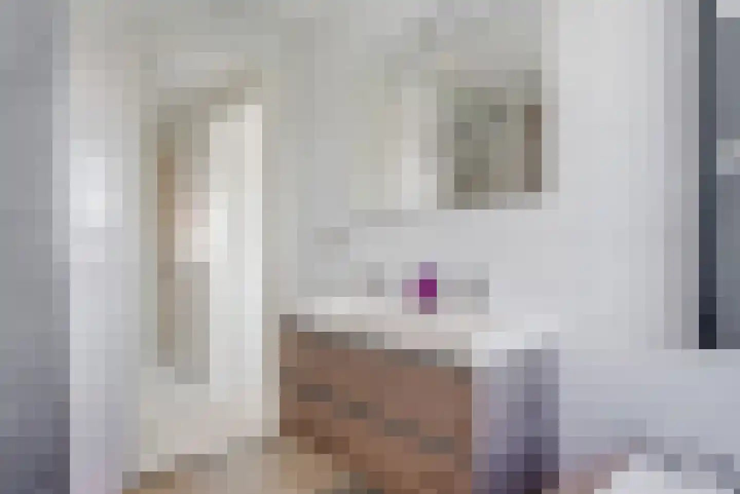 Katoenweversgilde 42 Hasselt thumbnail 42