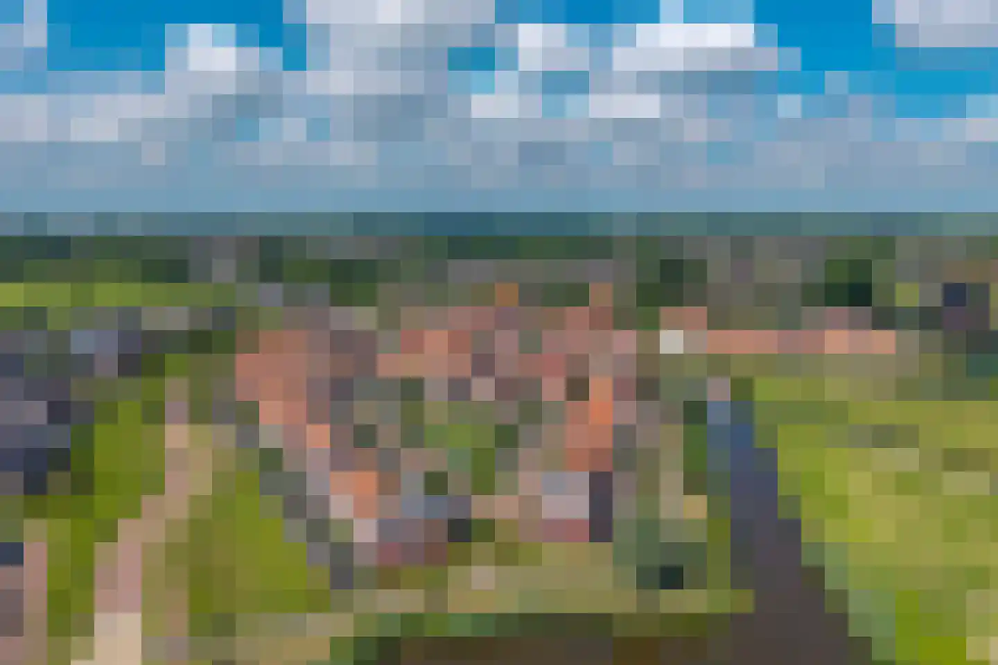 Katoenweversgilde 42 Hasselt thumbnail 52
