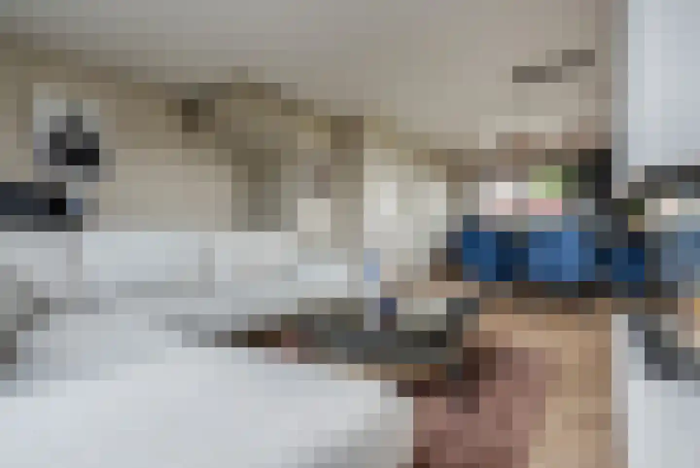 Katoenweversgilde 47 Hasselt thumbnail 22