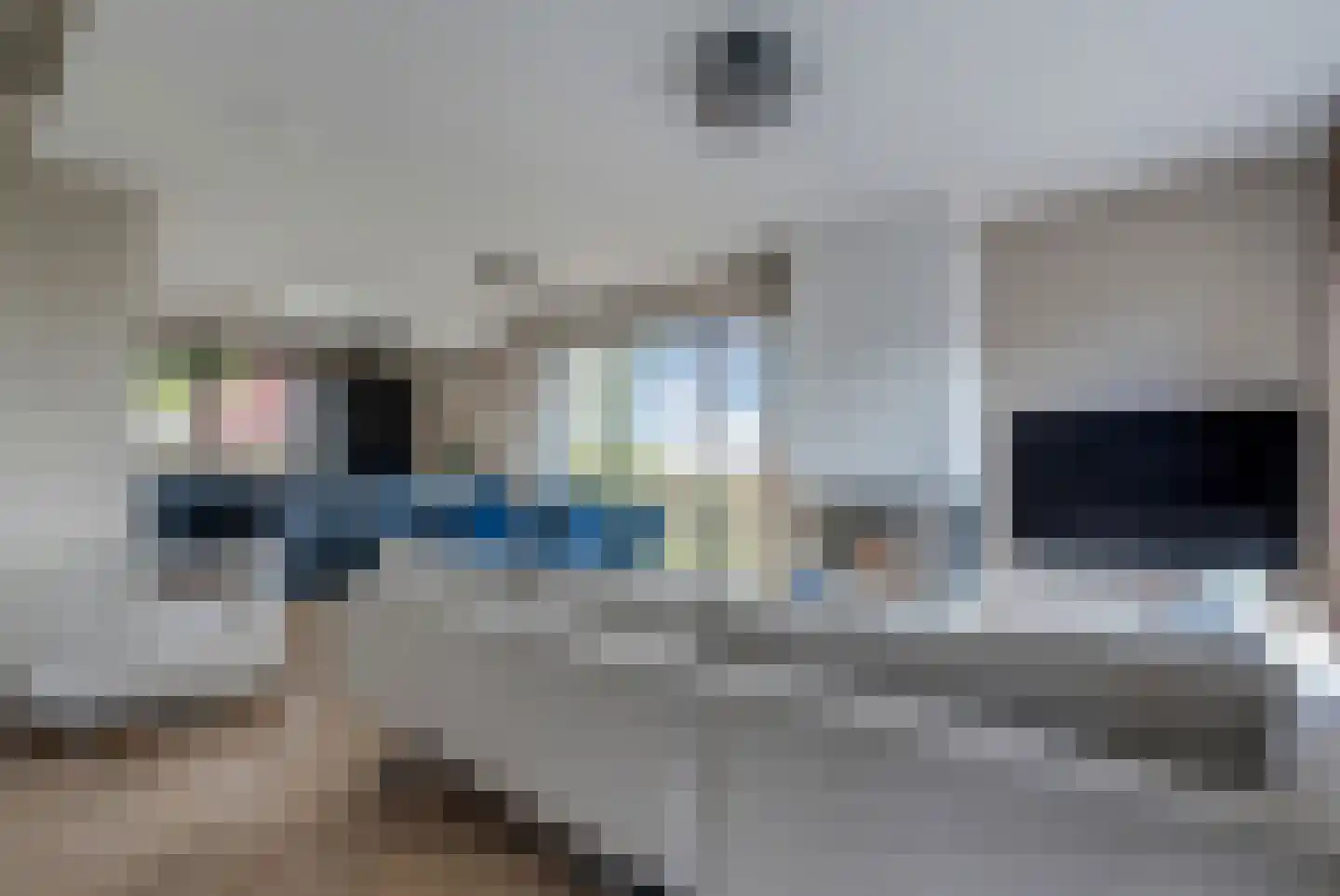 Katoenweversgilde 47 Hasselt thumbnail 24