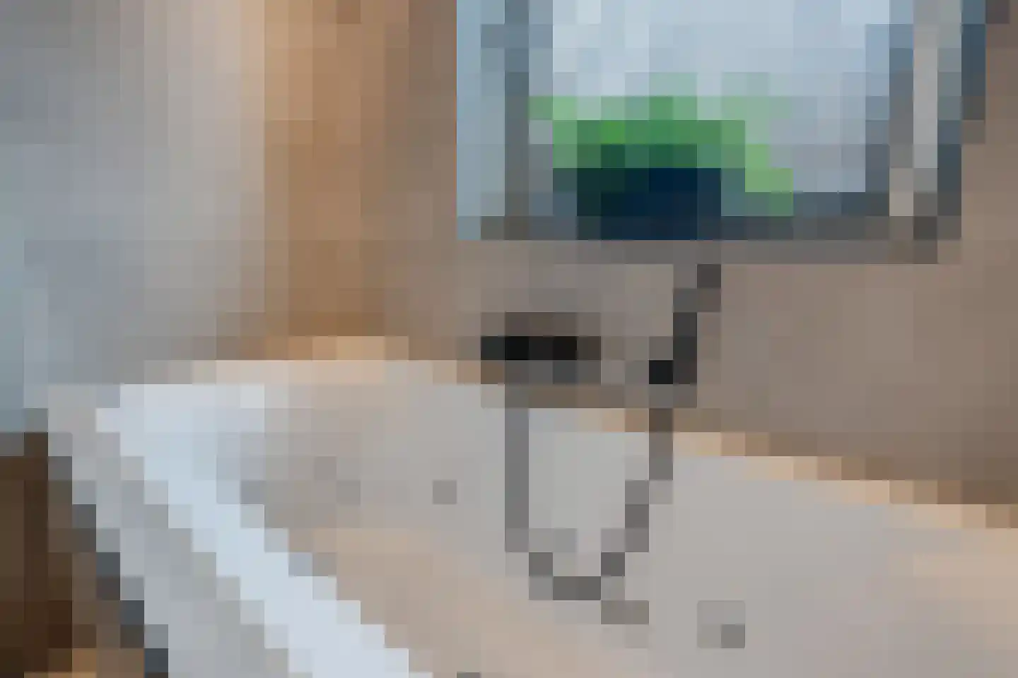 Katoenweversgilde 47 Hasselt thumbnail 42