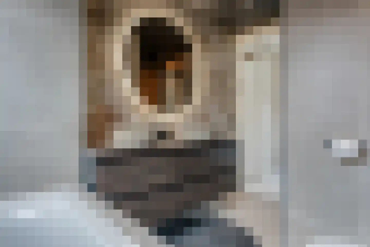 Katoenweversgilde 47 Hasselt thumbnail 43