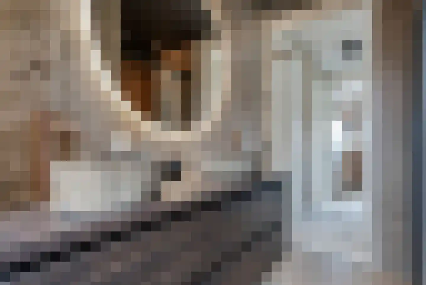 Katoenweversgilde 47 Hasselt thumbnail 44