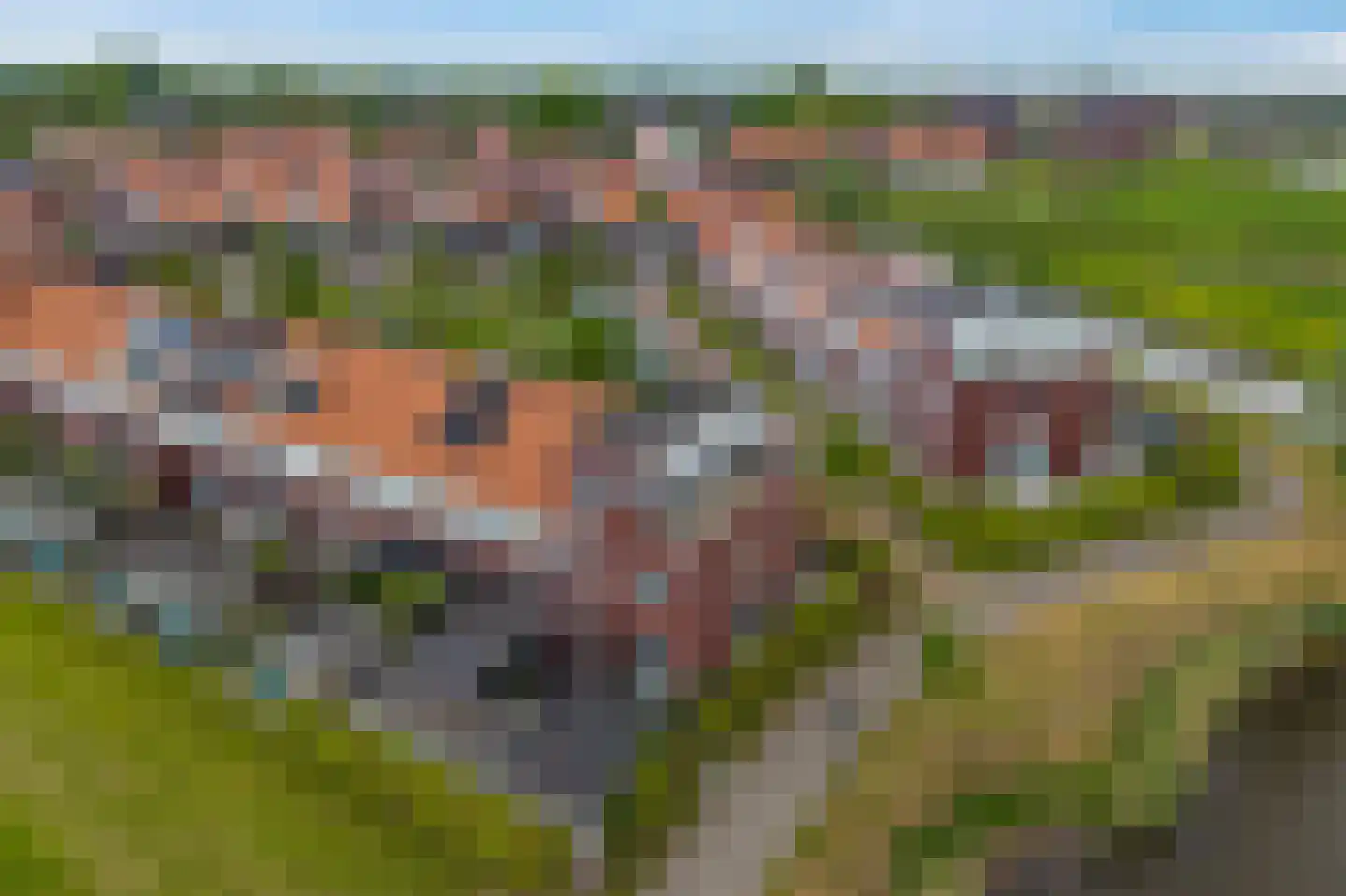 Katoenweversgilde 47 Hasselt thumbnail 65