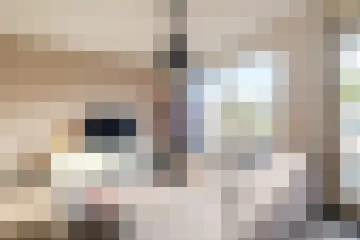 Katoenweversgilde 57 Hasselt thumbnail 11