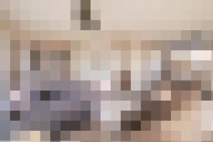 Katoenweversgilde 57 Hasselt thumbnail 13