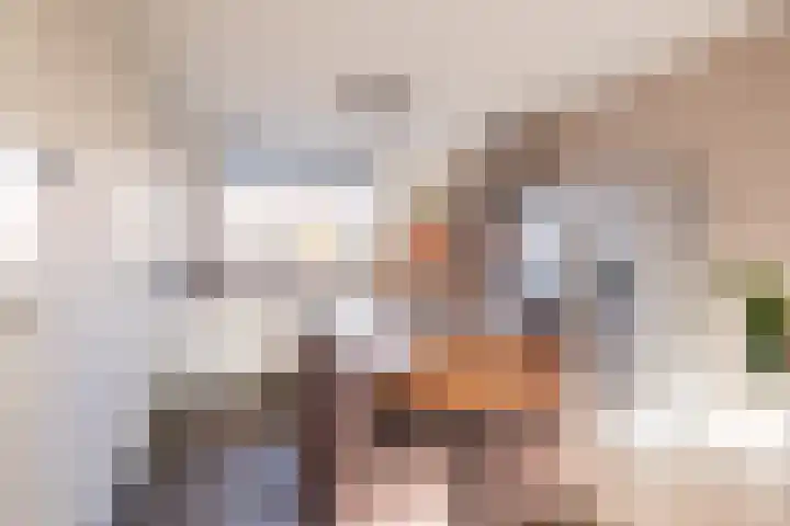 Katoenweversgilde 57 Hasselt thumbnail 15