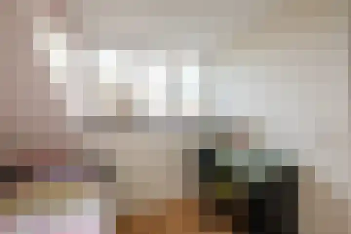 Katoenweversgilde 57 Hasselt thumbnail 27
