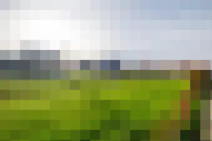 Katoenweversgilde 57 Hasselt thumbnail 39
