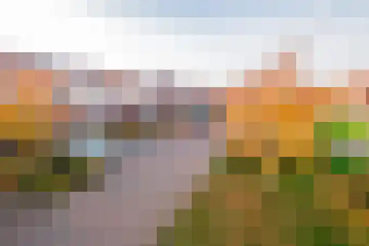 Katoenweversgilde 57 Hasselt thumbnail 45