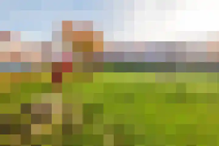 Katoenweversgilde 57 Hasselt thumbnail 47