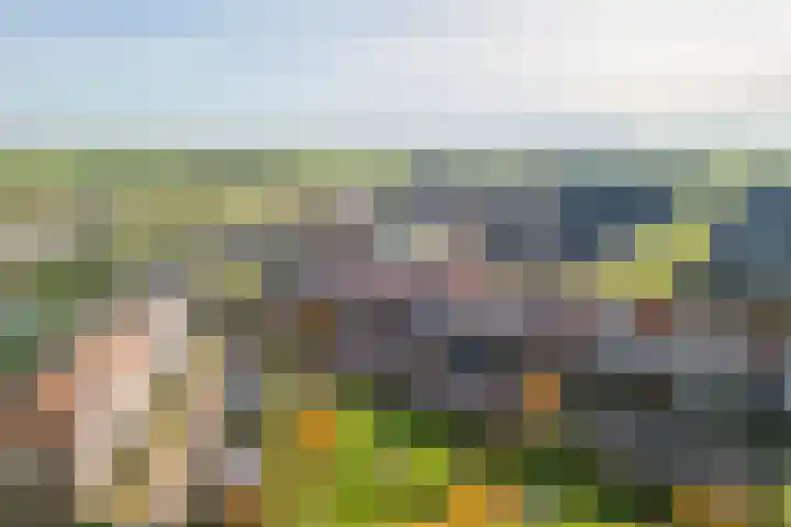 Katoenweversgilde 57 Hasselt thumbnail 48