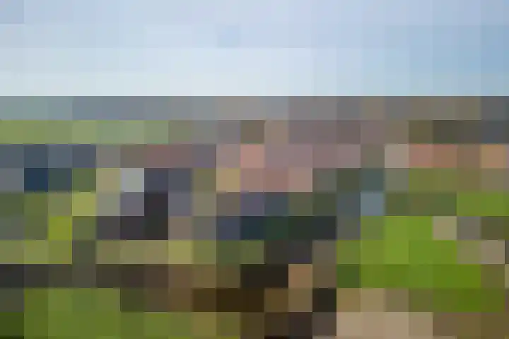 Katoenweversgilde 57 Hasselt thumbnail 49