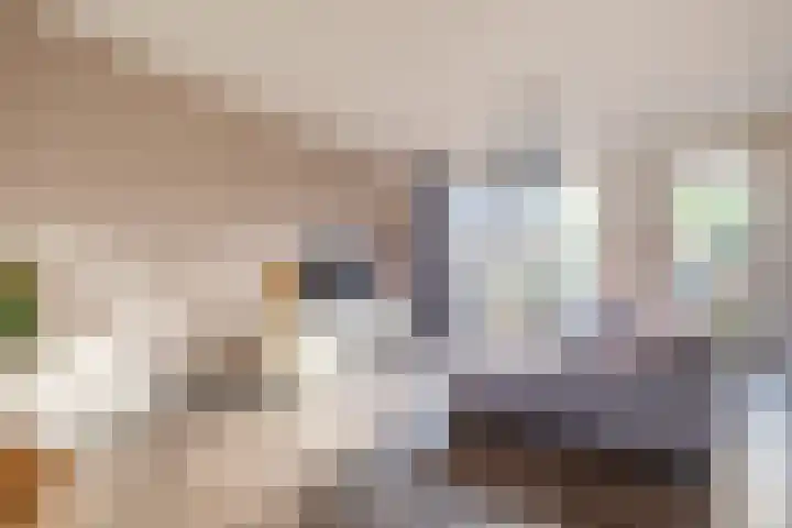 Katoenweversgilde 57 Hasselt thumbnail 9