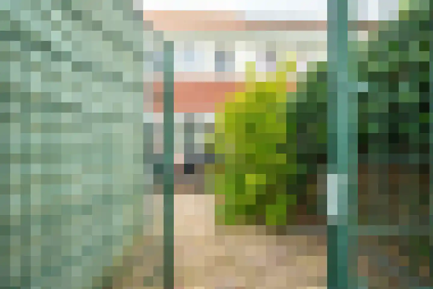 Katoenweversgilde 71 Hasselt thumbnail 30