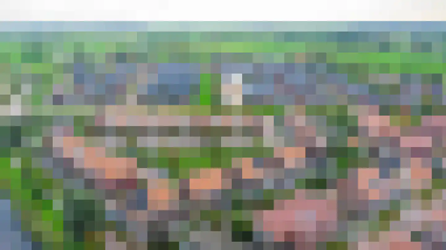 Katoenweversgilde 71 Hasselt thumbnail 8