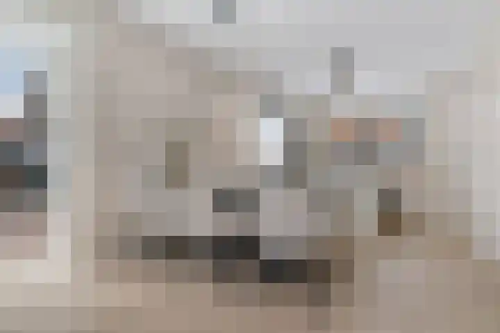 Katoenweversgilde 75 Hasselt thumbnail 17
