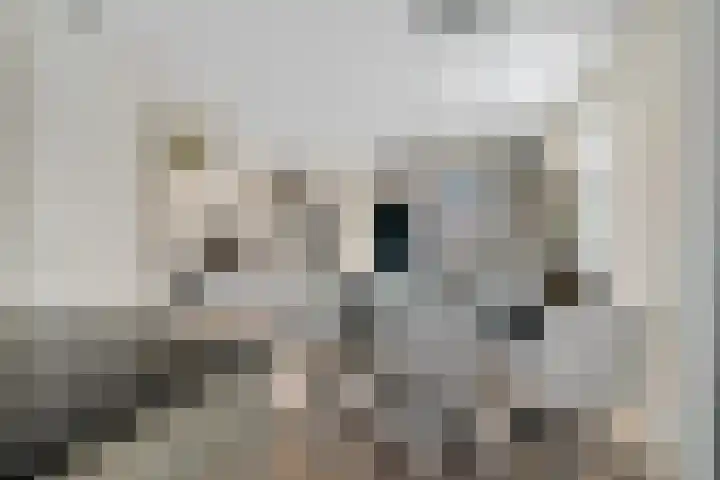 Katoenweversgilde 75 Hasselt thumbnail 21