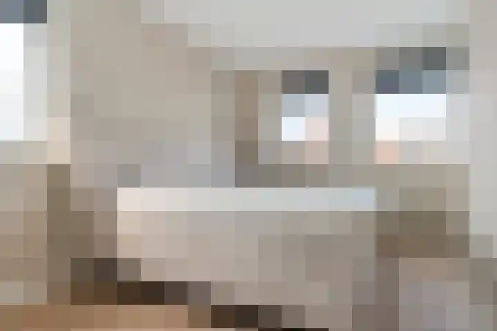 Katoenweversgilde 75 Hasselt thumbnail 23