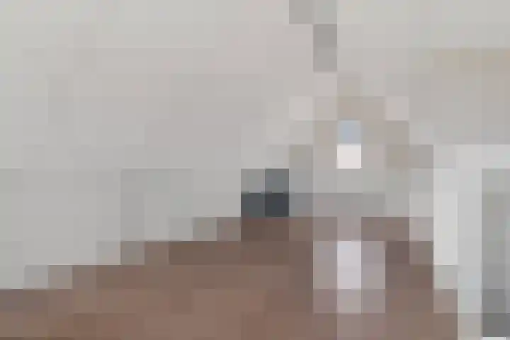 Katoenweversgilde 75 Hasselt thumbnail 35