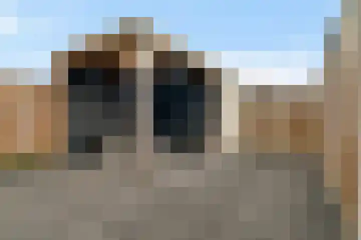 Katoenweversgilde 75 Hasselt thumbnail 44