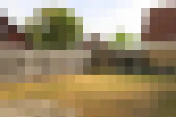 Katowicelaan 1 West-Terschelling thumbnail 27