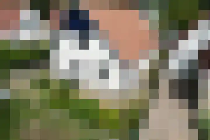 Katowicelaan 1 West-Terschelling thumbnail 29