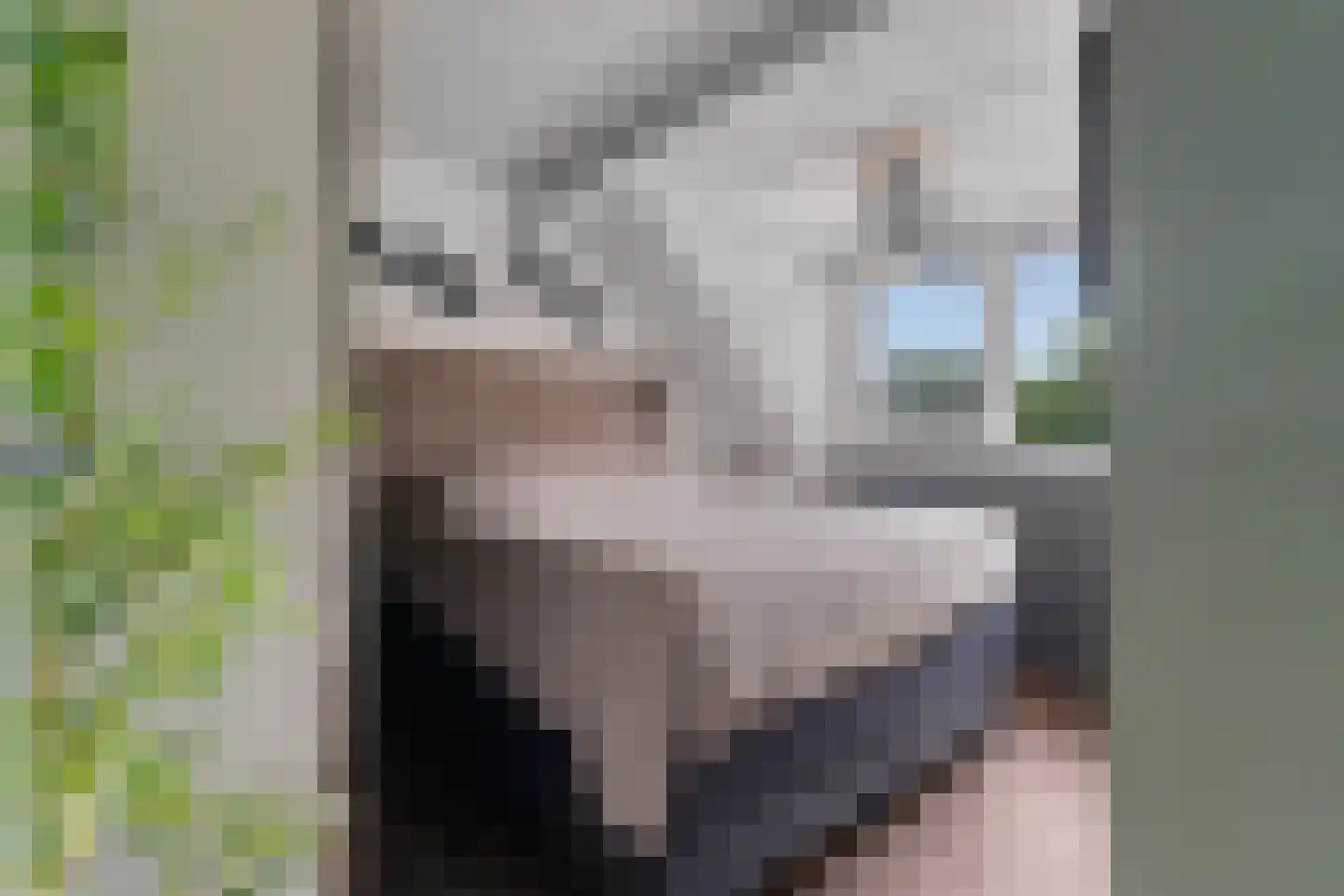 Katsbergpad 4 Arnhem thumbnail 16