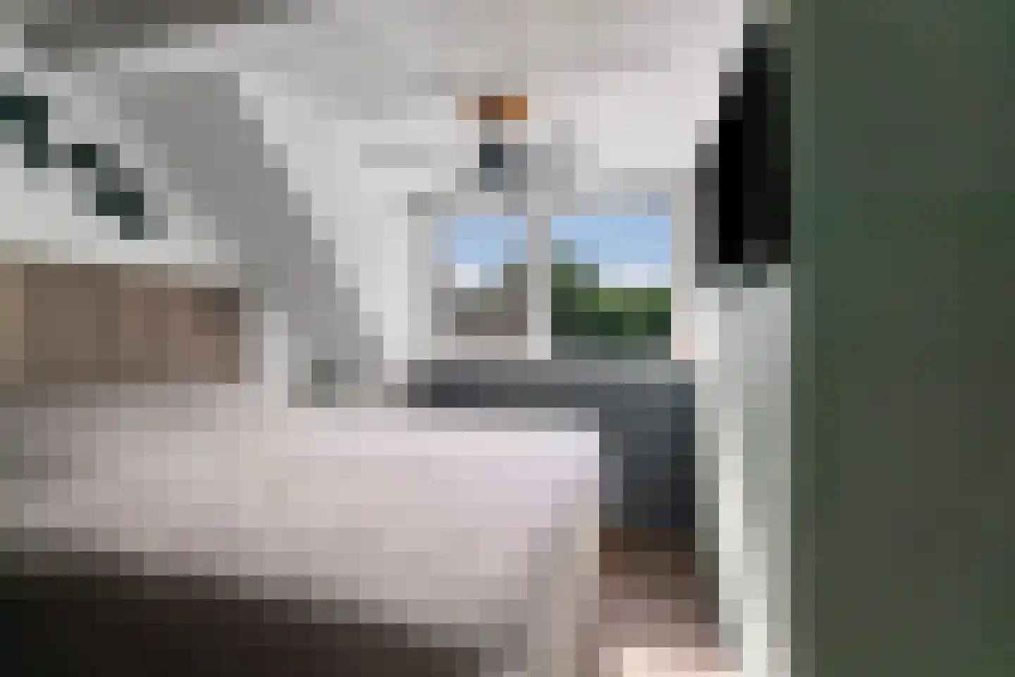Katsbergpad 4 Arnhem thumbnail 17