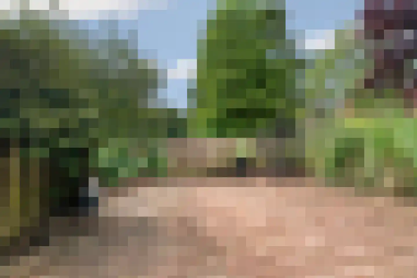 Katsbergpad 4 Arnhem thumbnail 35