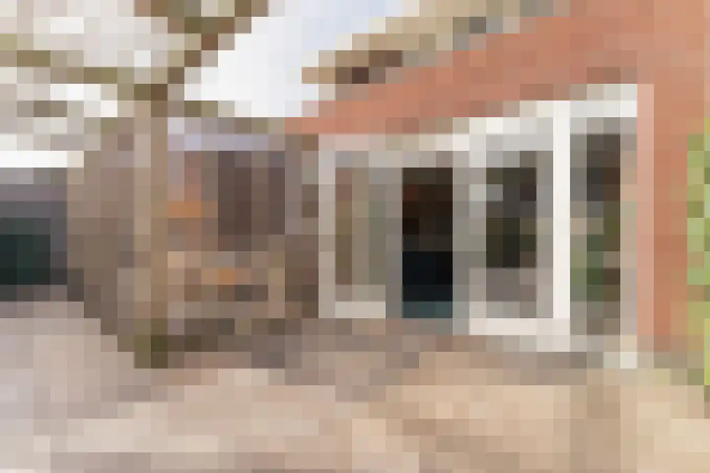 Katschip 11 Enkhuizen thumbnail 49