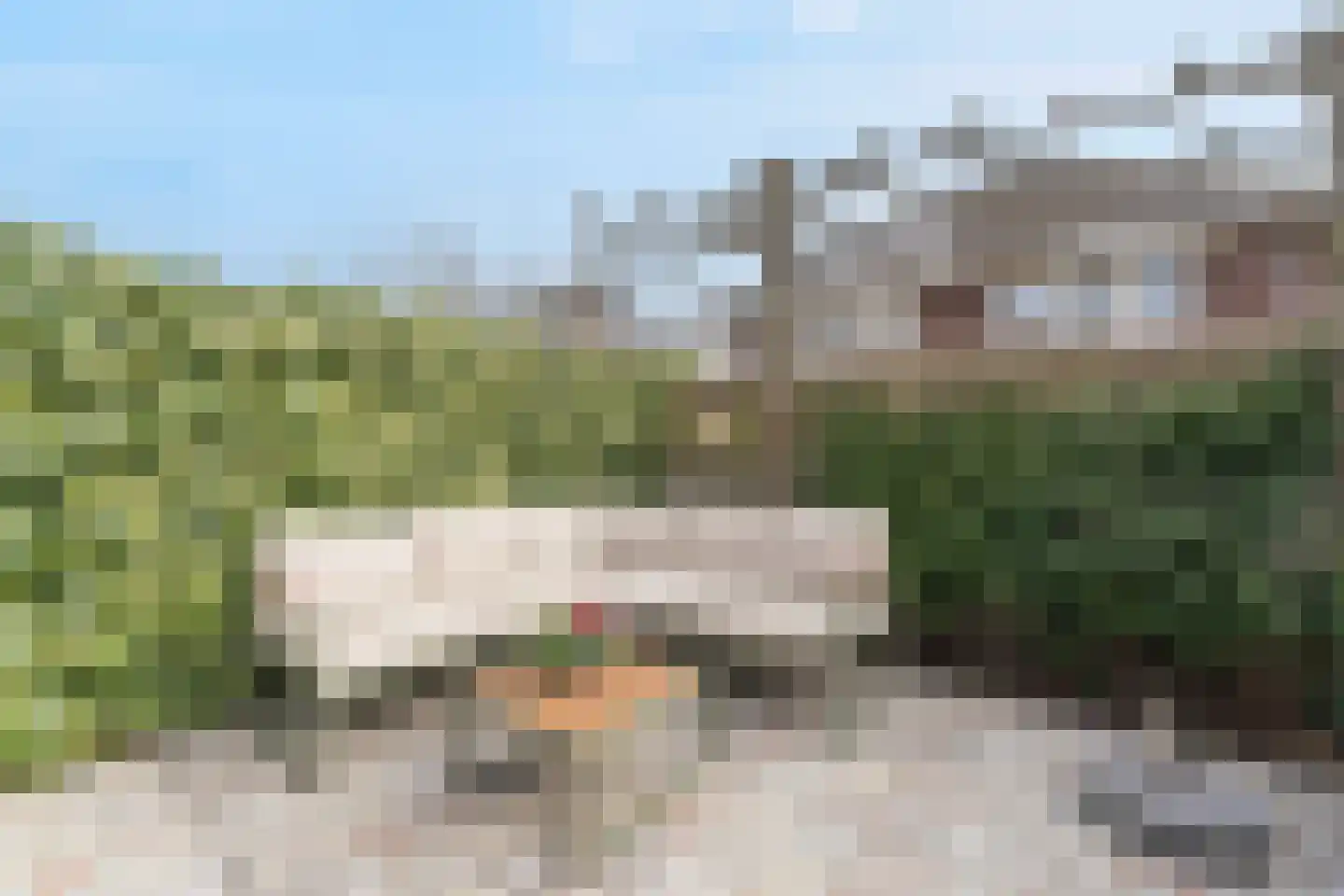 Katschip 11 Enkhuizen thumbnail 52