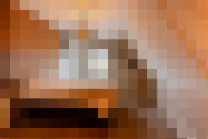Katschip 22 Enkhuizen thumbnail 21