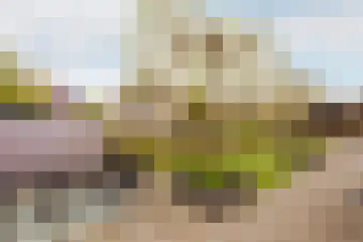 Katschip 22 Enkhuizen thumbnail 27