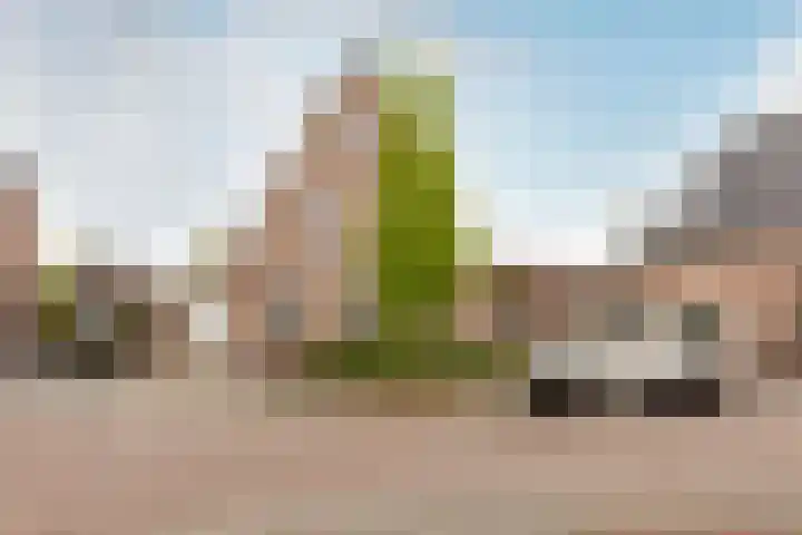 Katschip 22 Enkhuizen thumbnail 35