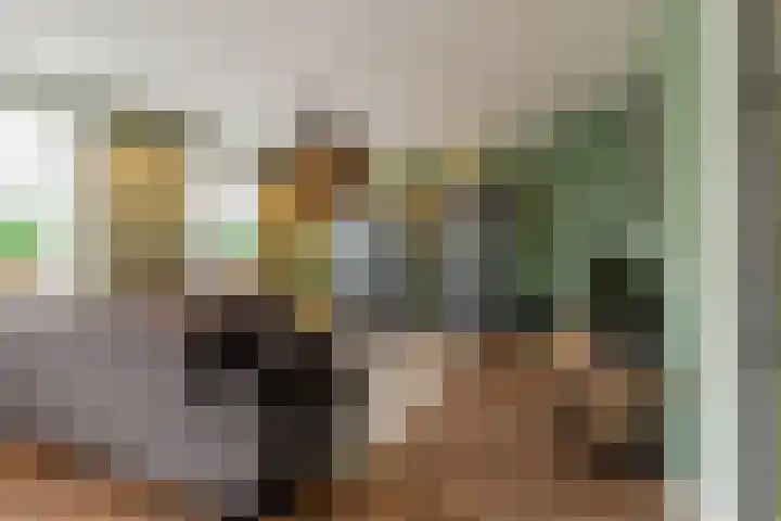 Katschip 22 Enkhuizen thumbnail 7